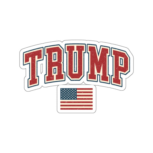 TRUMP USA STICKER