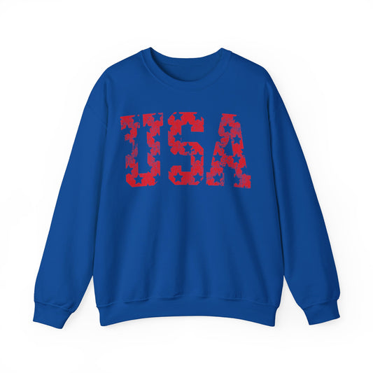 USA SWEATSHIRT
